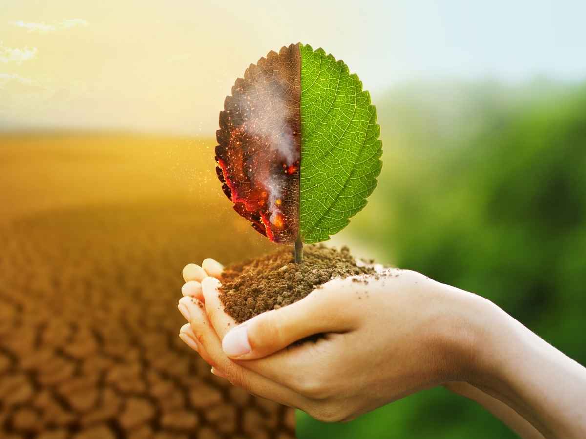 Il cambiamento climatico esiste davvero? Ecco cosa “pensa” l’Ia: la risposta di ChatGpt è del tutto inaspettata Il cambiamento climatico esiste davvero? Ecco cosa “pensa” l’Ia: la risposta di ChatGpt è del tutto inaspettata