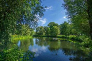 Paesaggio naturalistico con un lago e degli alberi