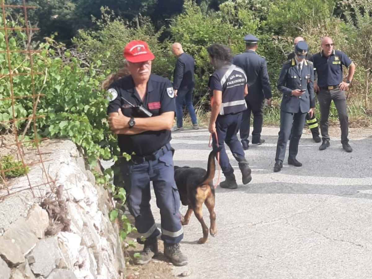 Bimbo ritrovato, è mistero sulle trentasei ore di buio di Allen: il piccolo era solo? L’esperto: “Dubito sia rimasto senza bere” Bimbo ritrovato, è mistero sulle trentasei ore di buio di Allen: il piccolo era solo? L’esperto: “Dubito sia rimasto senza bere”