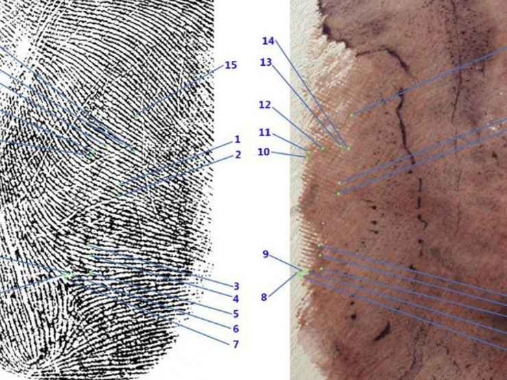 L'impronta 33 attribuita dalla Procura ad Andrea Sempio, indagato nella nuova inchiesta sul delitto di Garlasco