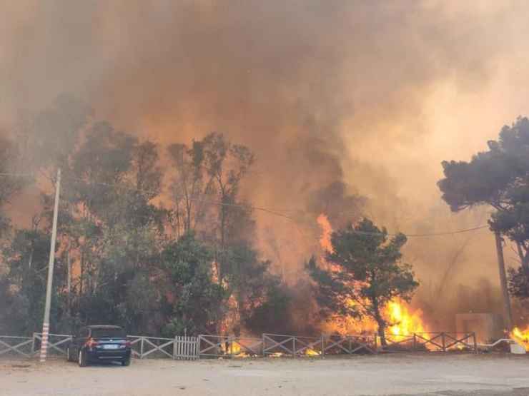 Un incendio boschivo, polemica sui costi