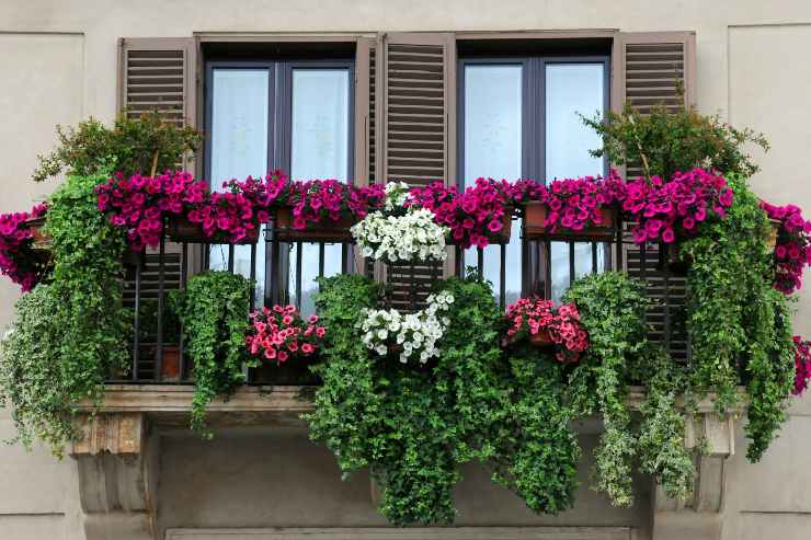 Balcone piano di fiori