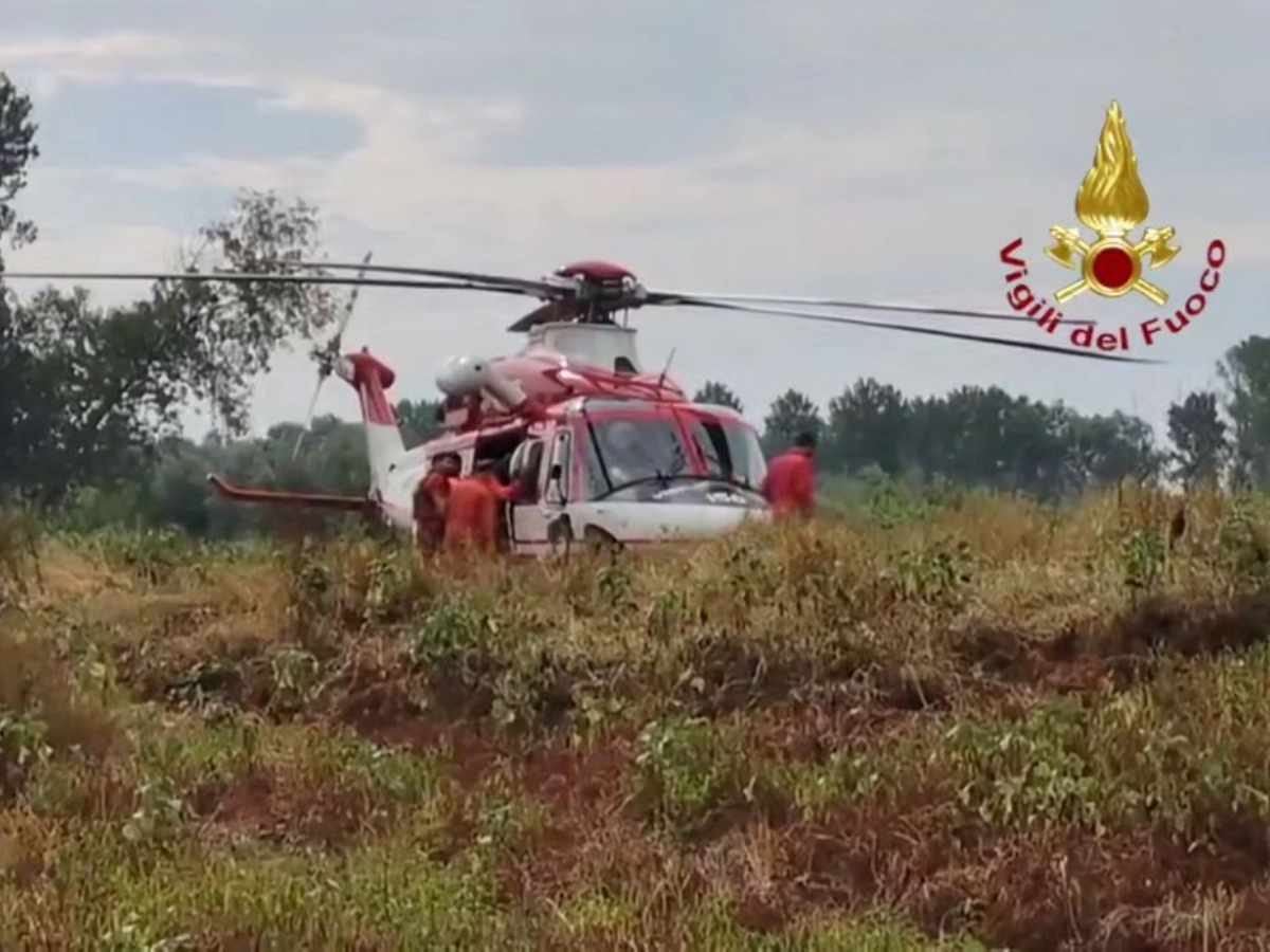 un quindicenne si tuffa nel po con i fratelli e scompare il padre riesce a salvare due figli ricerche incessanti a linarolo