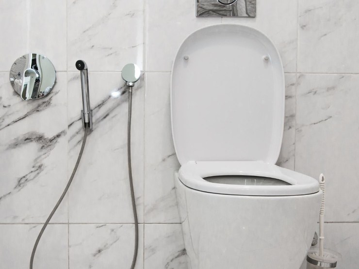 wc tecnologico 