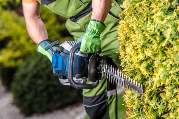 Giardiniere taglia foglie e rami