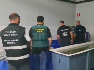 Vongole giapponesi o di Manila, allarme Europol