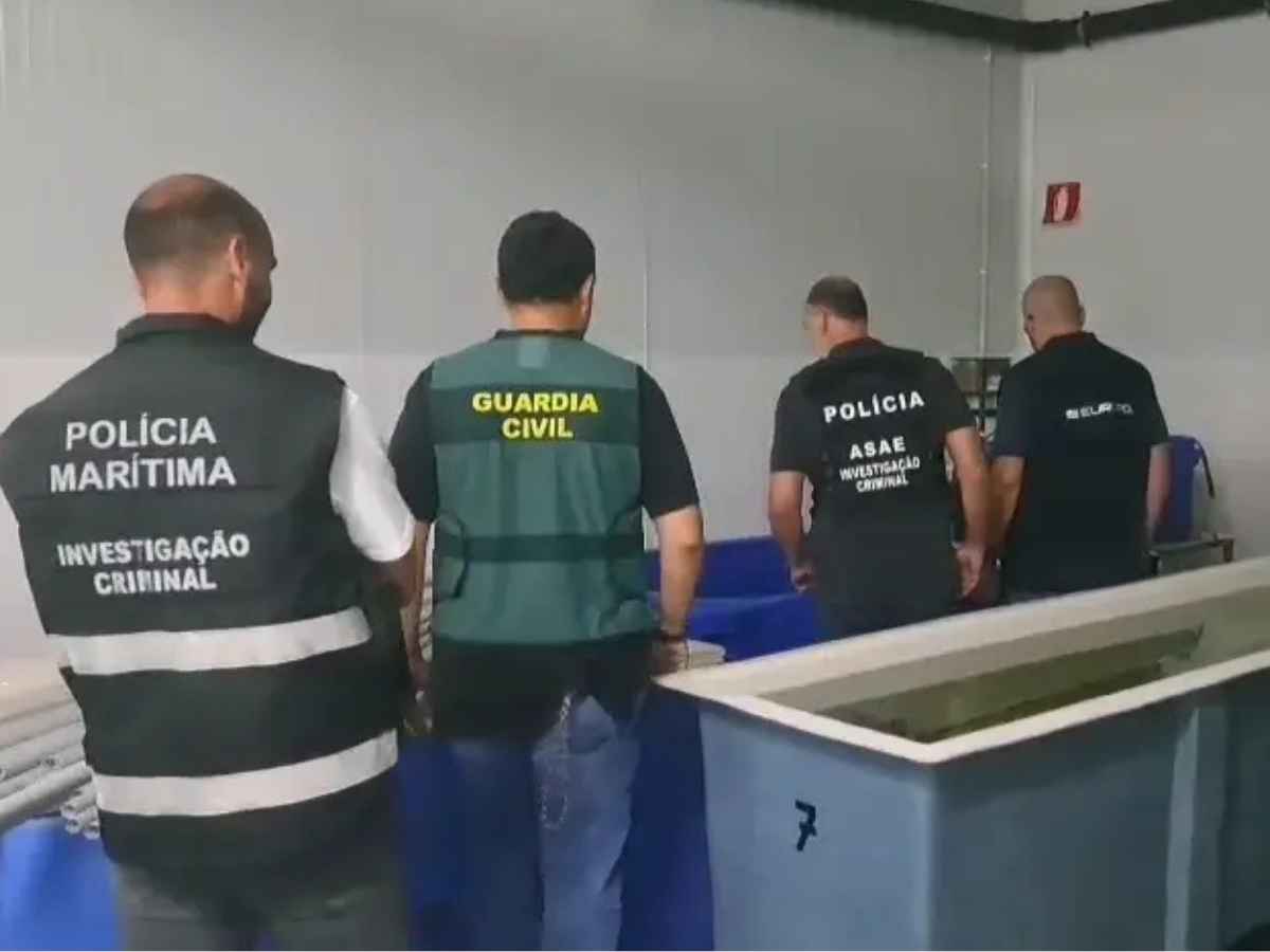 La pericolosa vongola di Manila destinata ai ristoranti italiani, l’allarme dell’Europol: “Pescata illegalmente in Spagna”
