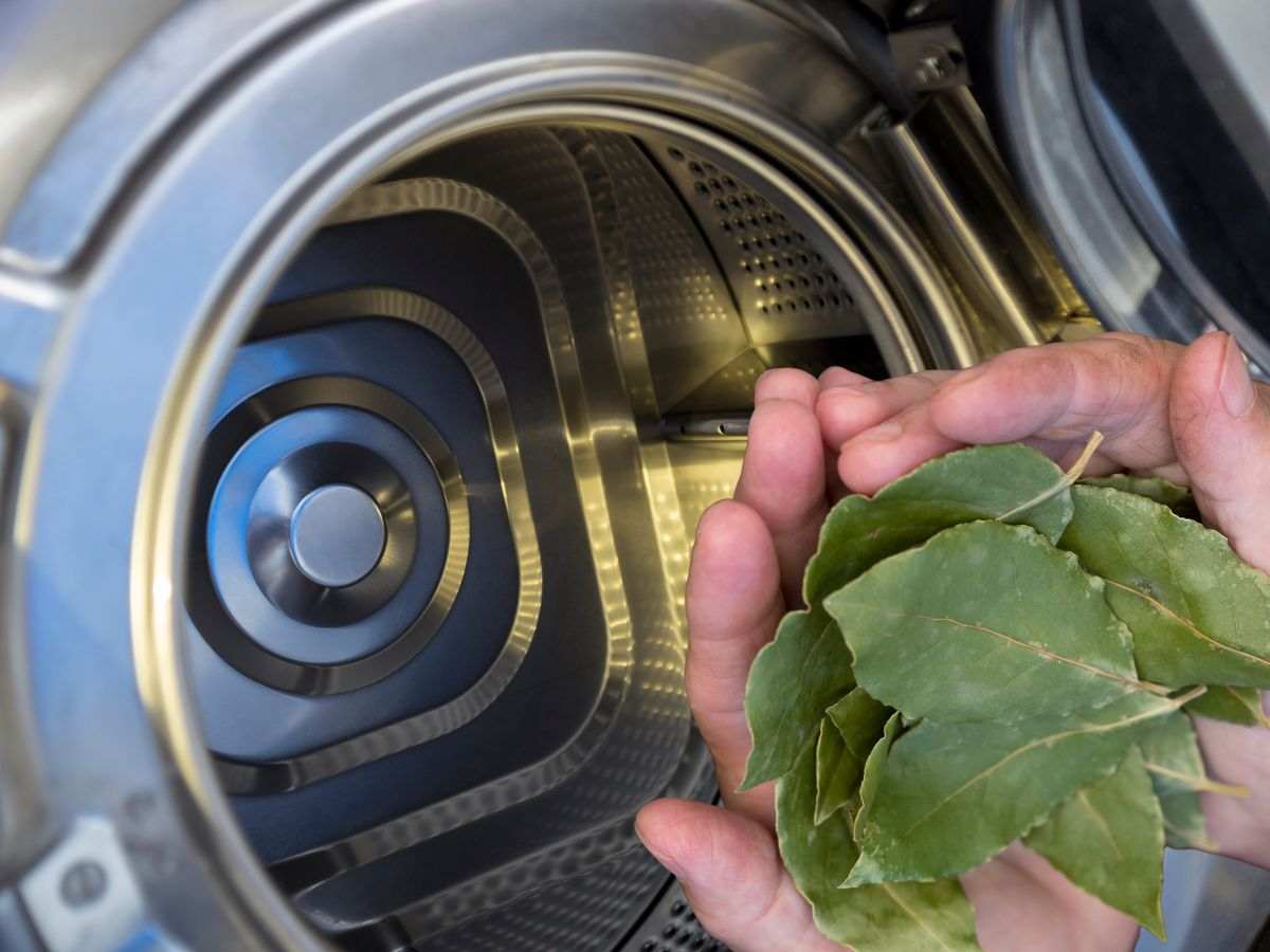 sfondo lavatrice e mani con foglie di alloro