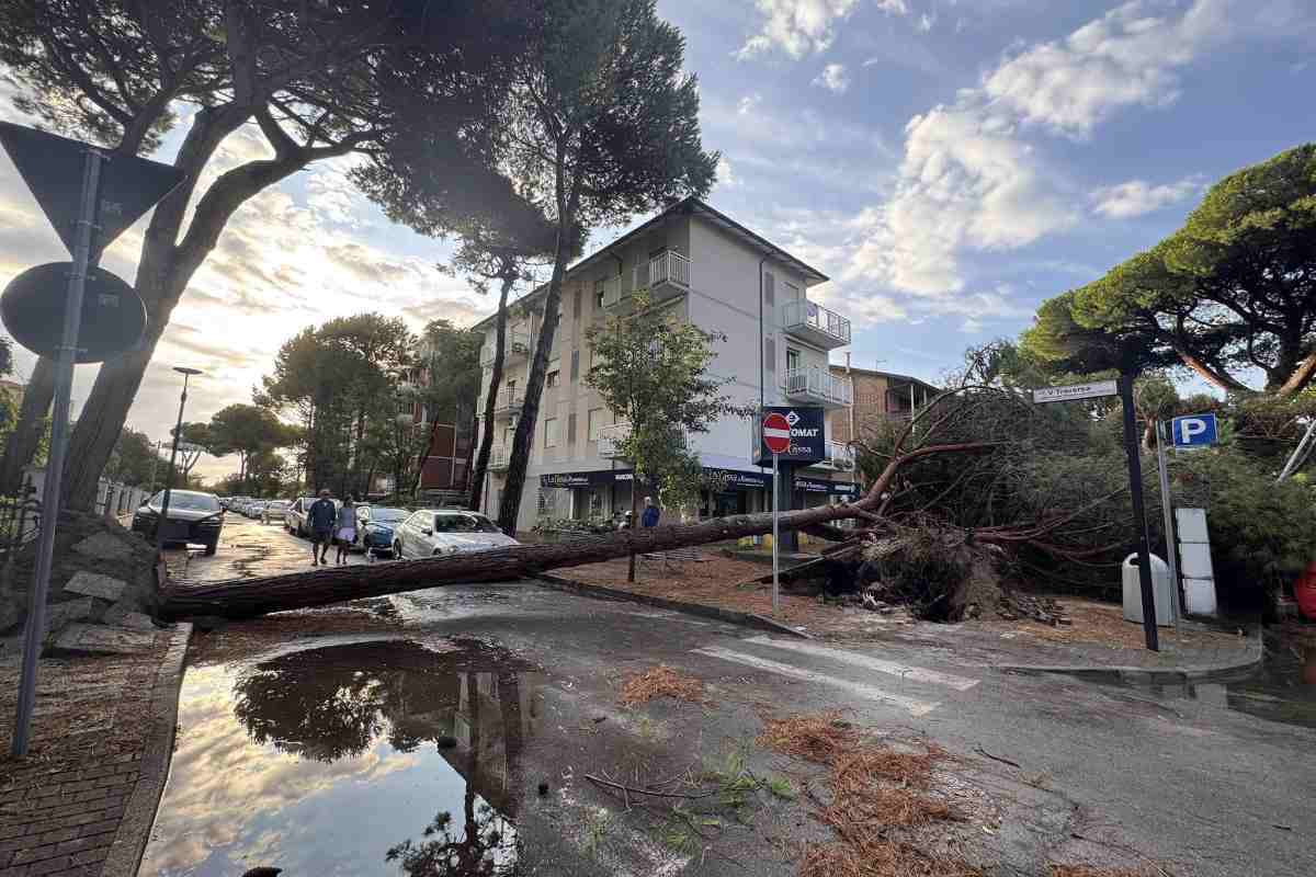 Allerta meteo in Emilia Romagna: allagamenti, treni sospesi e raffiche di vento a 100 km/h Allerta meteo in Emilia Romagna: allagamenti, treni sospesi e raffiche di vento a 100 km/h