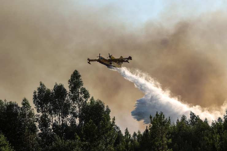 aereo sulla foresta