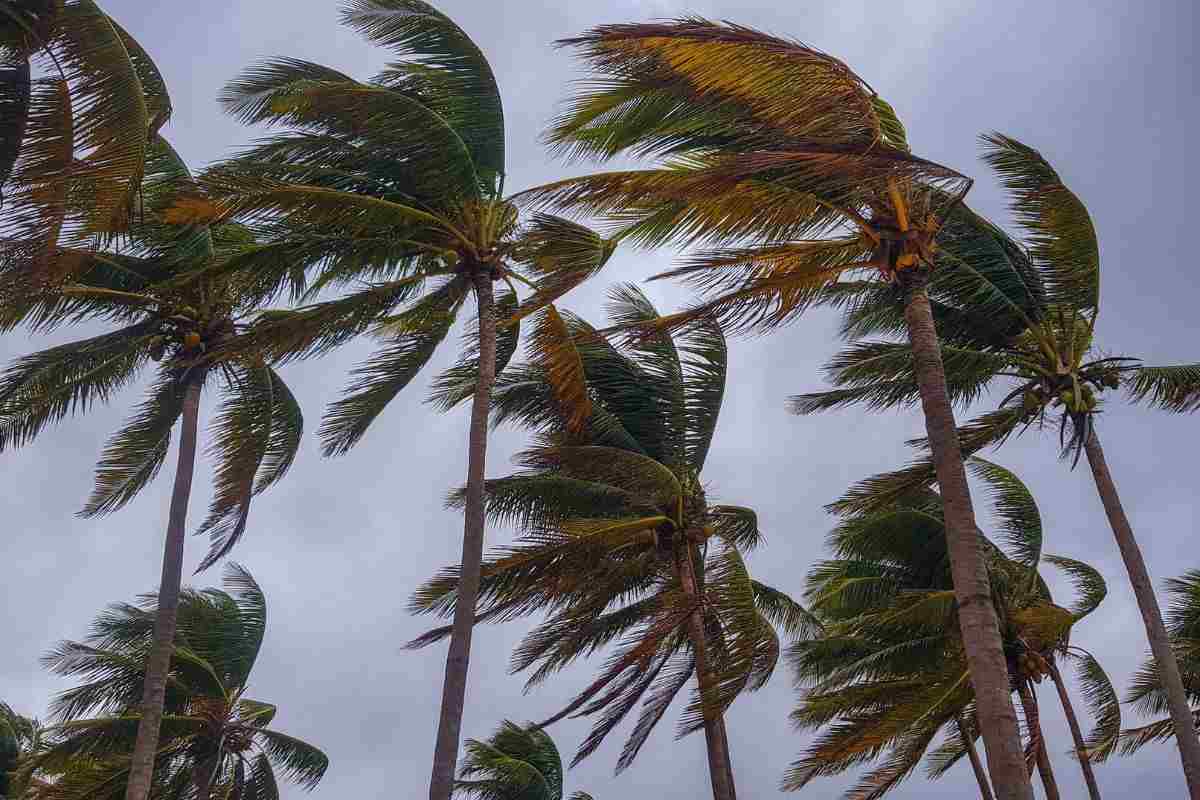 Uragano Erin, Stati Uniti colpiti da una nuova tempesta: New Jersey colpito pesantemente Uragano Erin, Stati Uniti colpiti da una nuova tempesta: New Jersey colpito pesantemente