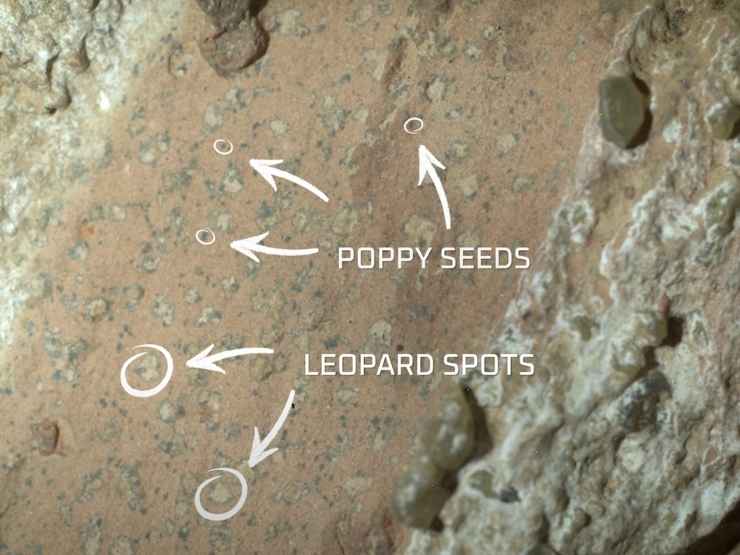 Le analisi sulla roccia Sapphire Canyon scovata da Perseverance su Marte