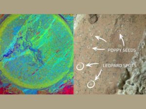 Le prime analisi sulla roccia Sapphire Canyon scovata da Perseverance su Marte