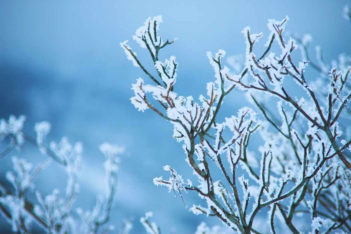 Arriva la neve, l’ondata gelida che viene dalla Russia porterà a situazioni al limite anche in Italia
