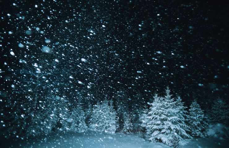 neve