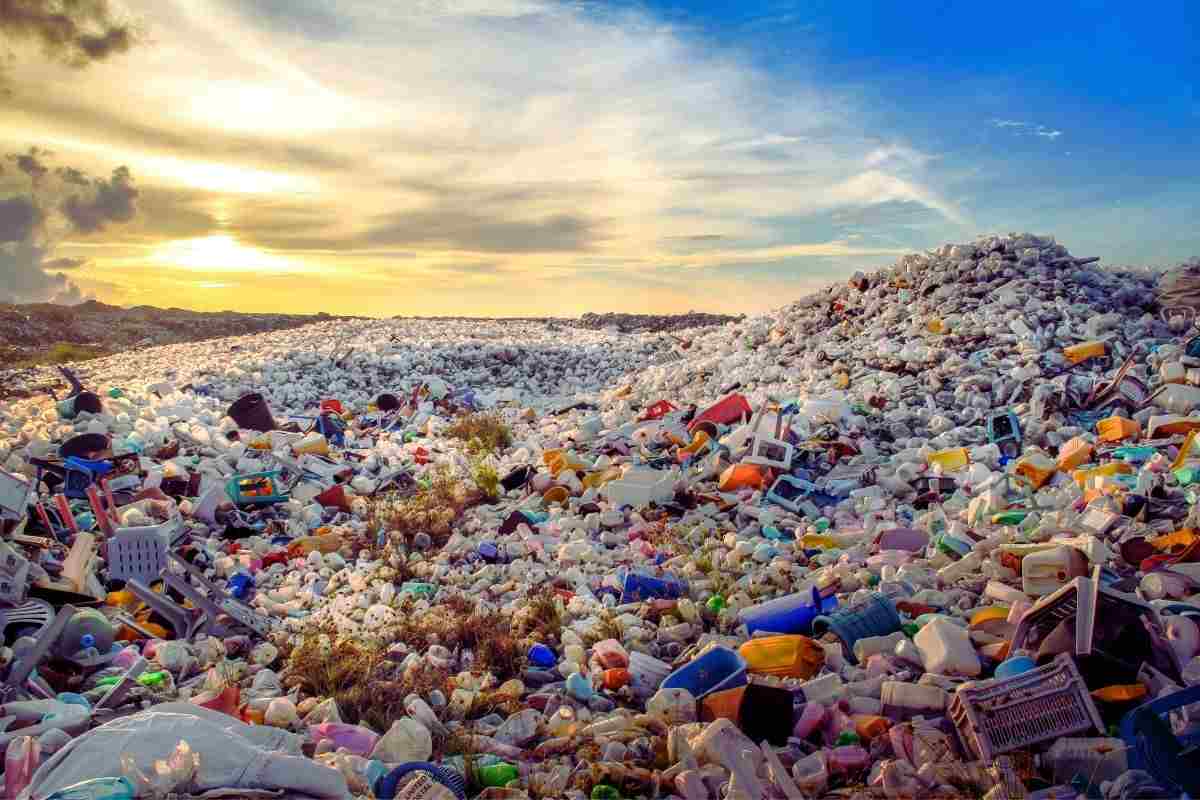 rispettare l8217ambiente parte dal supermercato i marchi maggiori responsabili dei rifiuti