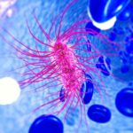 Batterio dell'Escherichia coli