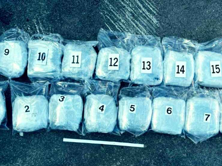 Droga sequestrata nell'ambito dell'operazione Neptune VII