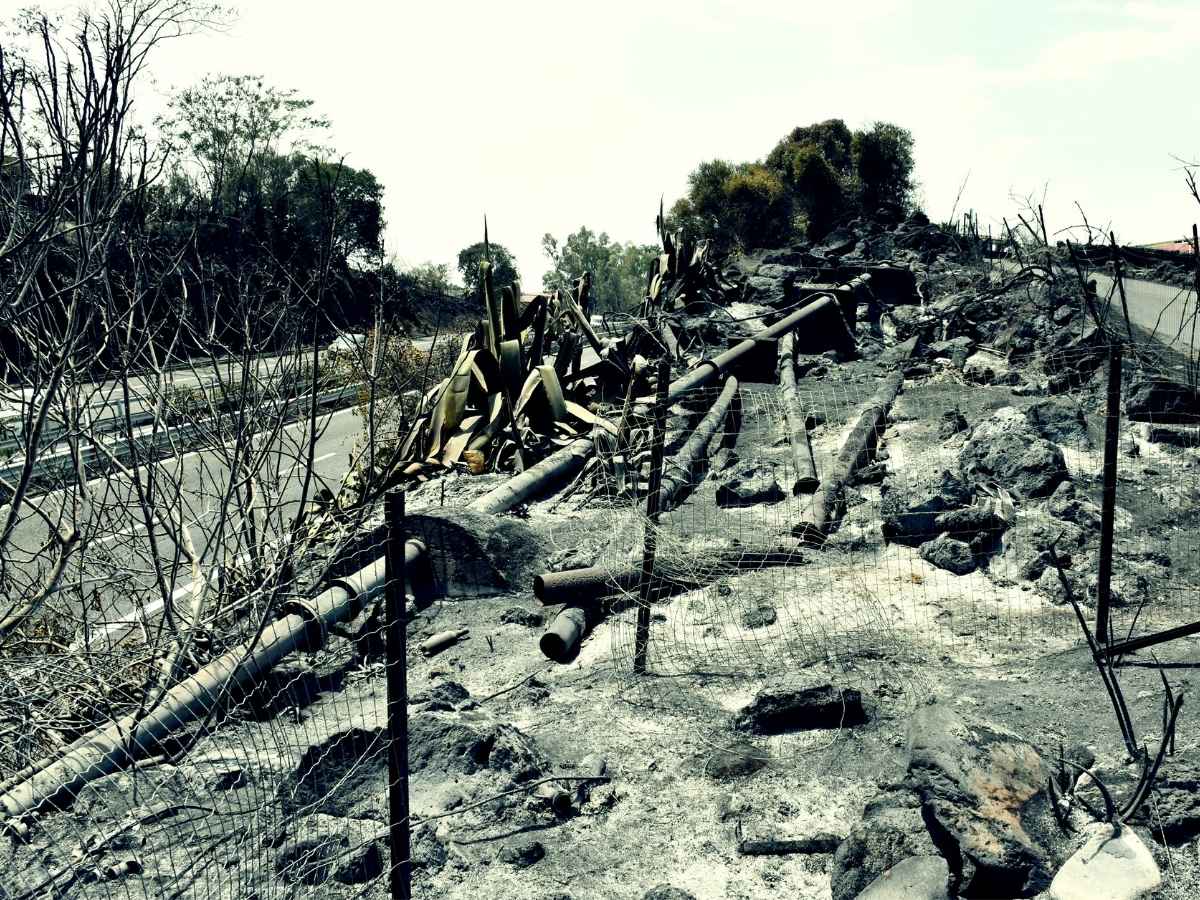 Incendi boschivi, bruciata un’area pari a 125mila campi da calcio nel 2025. Ispra: “Con sempre più roghi si rischia di perdere la biodiversità”