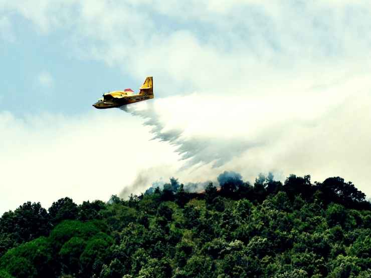 Incendi boschivi in Italia, il drammatico report di Ispra