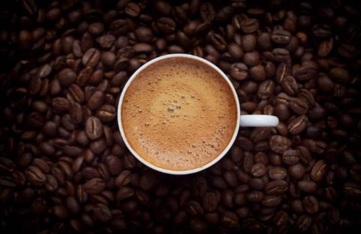 tazzina di caffè su chicchi di caffè 