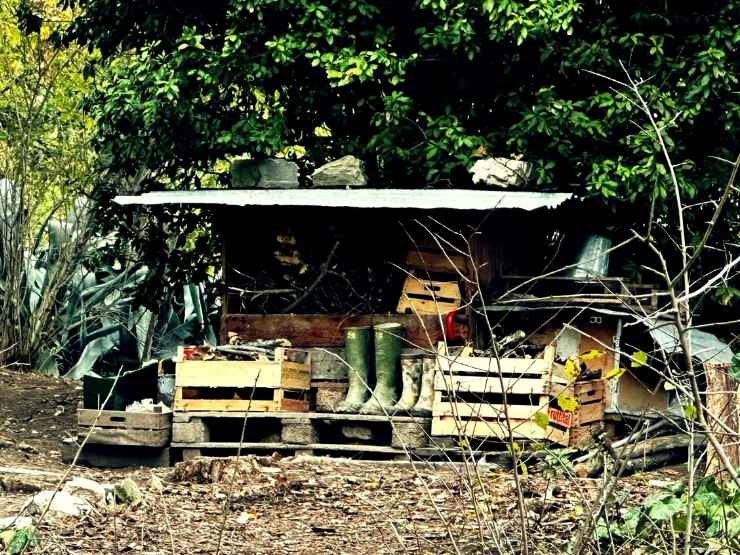 Casa della famiglia nel bosco