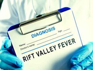 La Febbre della Rift Valley spaventa il mondo