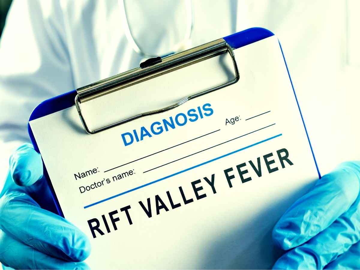 Cos’è la Febbre della Rift Valley che viene anche dal latte e che sta spaventando il mondo: ci sono già decine di vittime