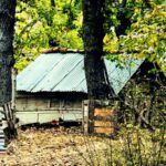 La casa della famiglia nel bosco
