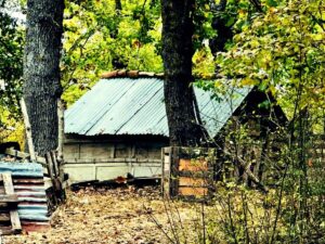 La casa della famiglia nel bosco