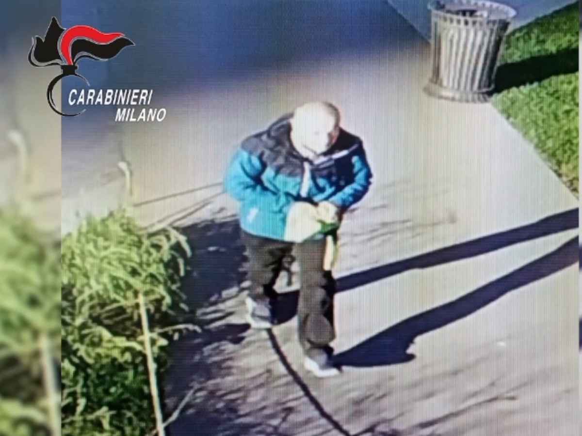 “Mi hanno accoltellata”: la corsa al Niguarda di Anna Laura, vittima di un’aggressione senza un perché