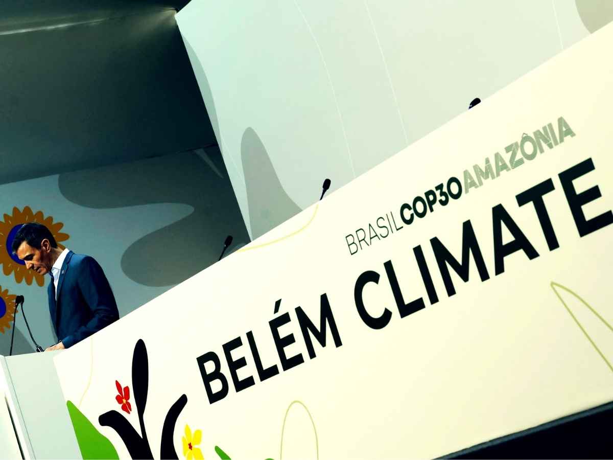 Verso la Cop30, i bio inganni del Belpaese: cronaca di una transizione mai nata. Il Wwf: “Viviamo alla giornata mentre il mondo ci supera” Verso la Cop30, i bio inganni del Belpaese: cronaca di una transizione mai nata. Il Wwf: “Viviamo alla giornata mentre il mondo ci supera”