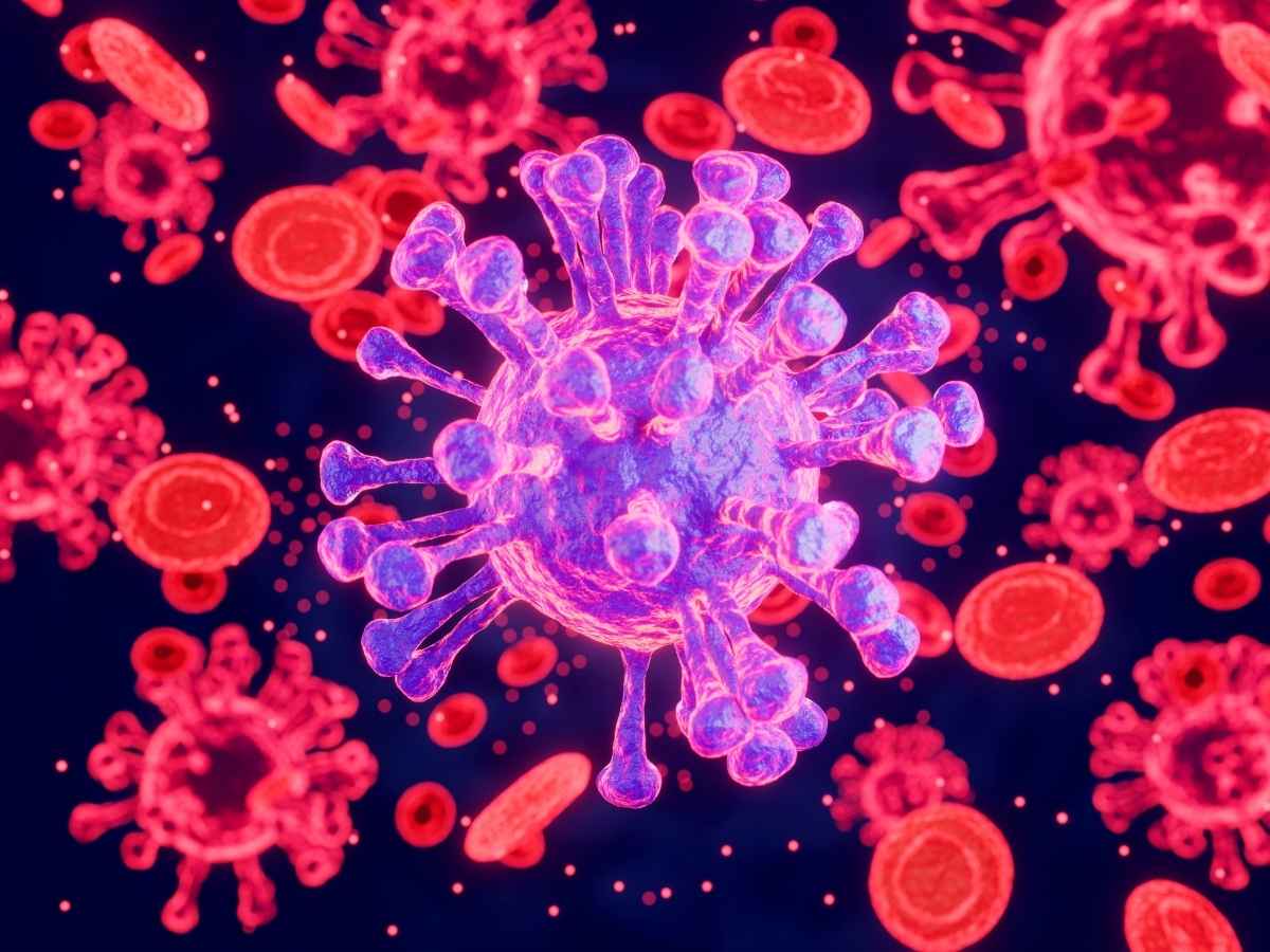 cos8217232 la super influenza che sta colpendo mezzo mondo il virus k corre pi249 veloce del previsto ospedali come in pandemia da Notizie.com cos8217232 la super influenza che sta colpendo mezzo mondo il virus k corre pi249 veloce del previsto ospedali come in pandemia