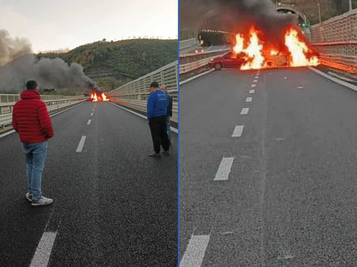 Assalto al portavalori, la regia della ‘ndrangheta: in fiamme parte dei due milioni del bottino. “Calabria diventata far west”