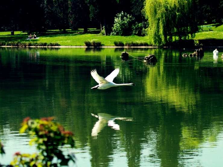 Biodiversità in Italia