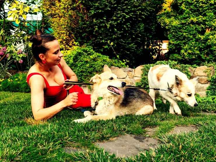 Decalogo Iss 2026 in salute, interazione animali