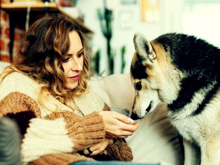 Un cane e la sua padrona