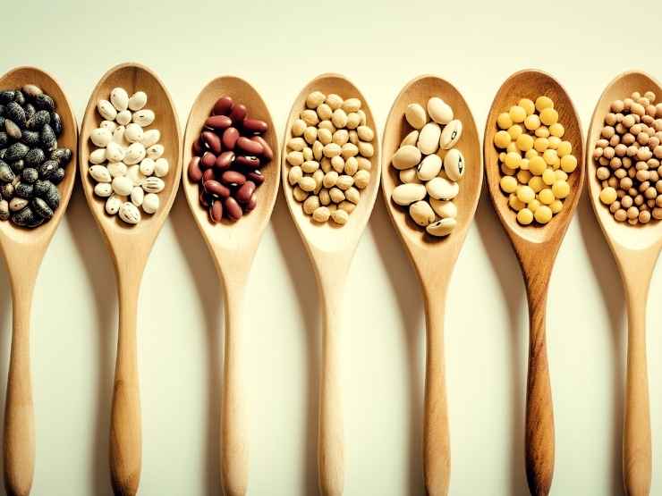 Legumi fagioli, giornata mondiale