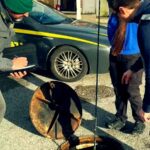 Caro benzina, controlli della guardia di finanza