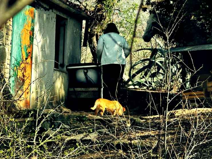 La casa dove vivevano i bambini del bosco