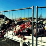 Operazione Custos viridis