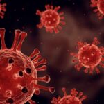 Il virus dell'influenza aviaria