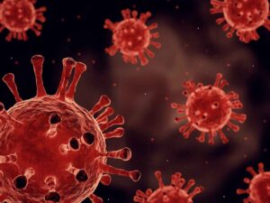 Il virus dell'influenza aviaria