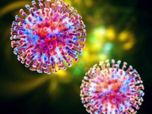 Hantavirus su nave da crociera