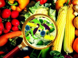 Pericolo cibo contaminato