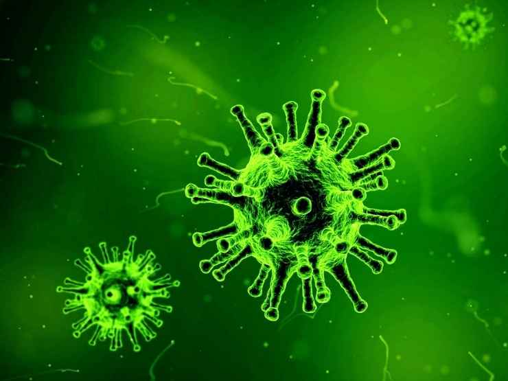 Focolaio di hantavirus