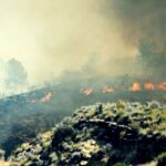 L'incendio in Andalusia si trasforma in una trappola mortale