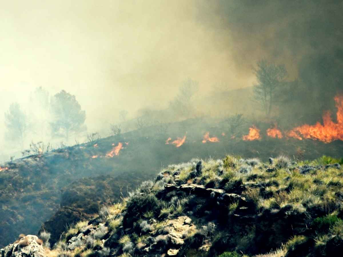 L'incendio in Andalusia si trasforma in una trappola mortale