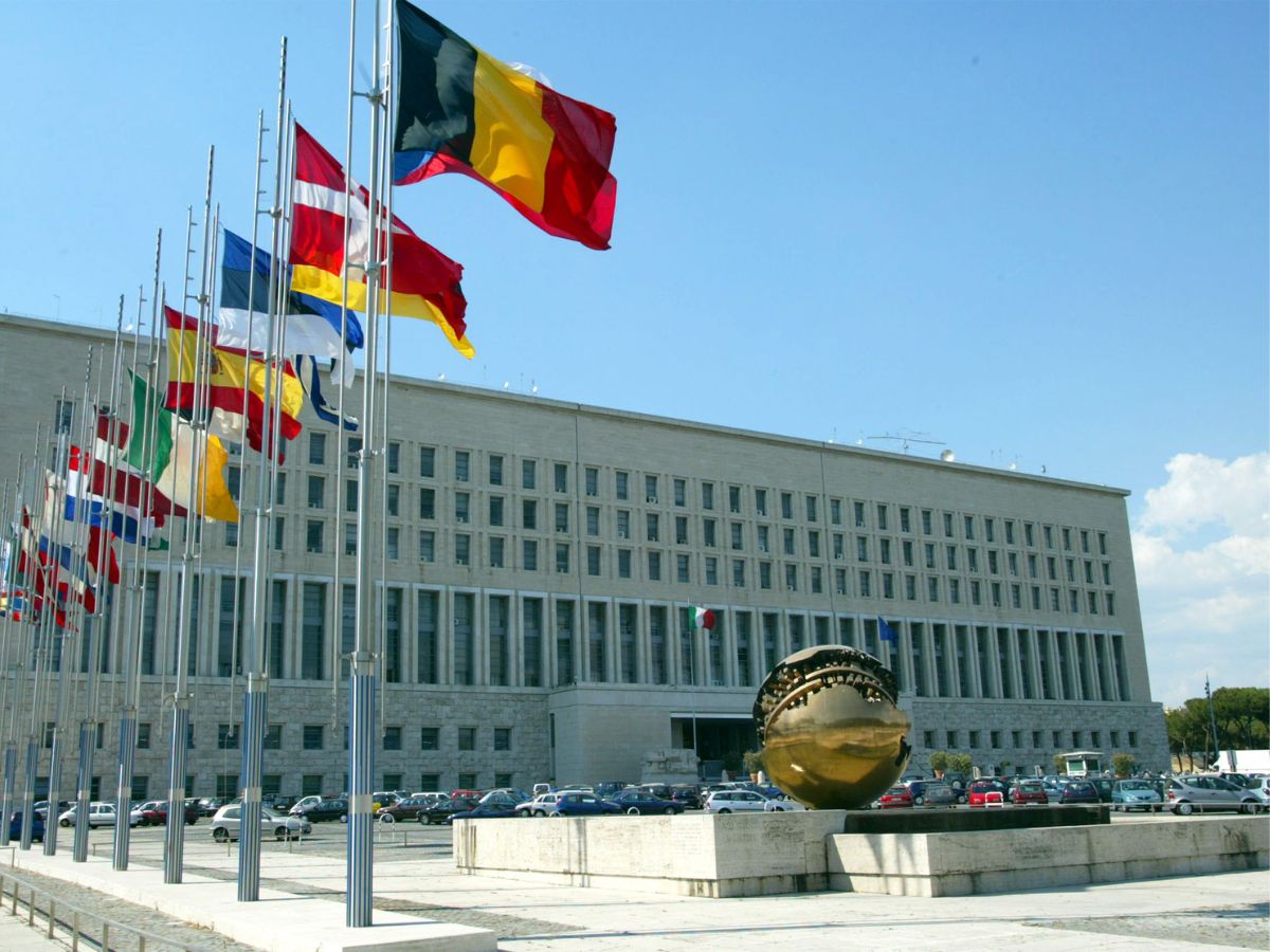 Palazzo della Farnesina, sede del Ministero degli Esteri italiano